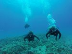 Hawaii Scuba divng 82