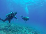 Hawaii Scuba divng 85