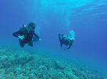 Hawaii Scuba divng 87