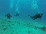 Hawaii Scuba divng 88