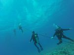 Hawaii Scuba divng 90