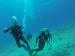 Hawaii Scuba divng 91