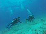 Hawaii Scuba divng 94