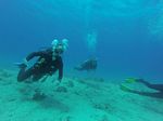 Hawaii Scuba divng 95