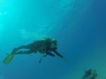 Hawaii Scuba divng 96