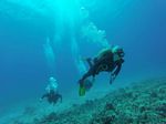 Hawaii Scuba divng 97