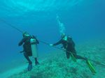 Hawaii Scuba divng 98