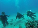 Hawaii Scuba divng 09