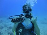 Hawaii Scuba divng 12