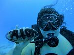 Hawaii Scuba divng 14