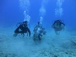 Hawaii Scuba divng 16