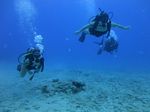 Hawaii Scuba divng 17