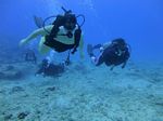 Hawaii Scuba divng 19