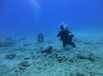 Hawaii Scuba divng 21