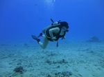 Hawaii Scuba divng 23