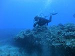 Hawaii Scuba divng 32