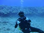 Hawaii Scuba divng 38