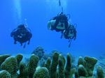 Hawaii Scuba divng 40