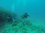 Hawaii Scuba divng 12