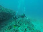 Hawaii Scuba divng 14