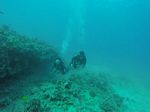 Hawaii Scuba divng 15