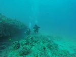 Hawaii Scuba divng 16