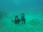 Hawaii Scuba divng 18