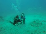 Hawaii Scuba divng 19