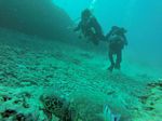 Hawaii Scuba divng 27