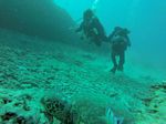 Hawaii Scuba divng 27