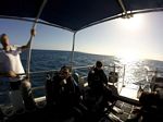 Hawaii Scuba divng 30