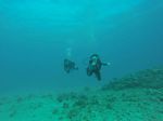 Hawaii Scuba divng 44