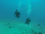 Hawaii Scuba divng 46