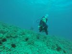 Hawaii Scuba divng 04