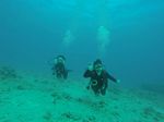 Hawaii Scuba divng 58