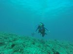 Hawaii Scuba divng 05