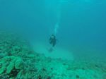 Hawaii Scuba divng 06