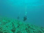 Hawaii Scuba divng 72