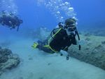 Hawaii Scuba divng 11