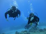 Hawaii Scuba divng 12