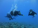 Hawaii Scuba divng 13