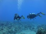 Hawaii Scuba divng 15