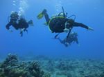 Hawaii Scuba divng 17