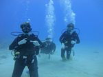 Hawaii Scuba divng 20