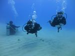 Hawaii Scuba divng 21