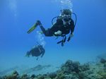 Hawaii Scuba divng 22