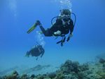 Hawaii Scuba divng 22