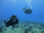 Hawaii Scuba divng 23