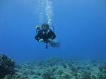 Hawaii Scuba divng 24