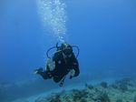 Hawaii Scuba divng 29